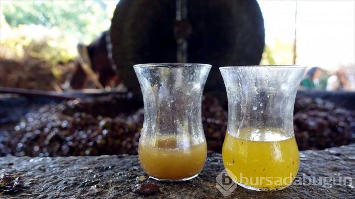 Doğal zeytinyağı nasıl yapılır taş değirmende zeytinlerin ezilmesiyle...
