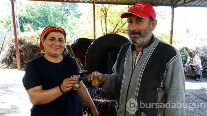 Doğal zeytinyağı nasıl yapılır taş değirmende zeytinlerin ezilmesiyle...
