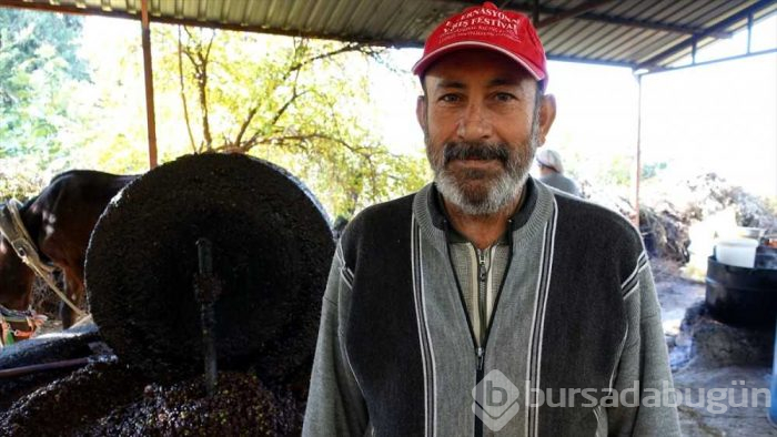 Doğal zeytinyağı nasıl yapılır taş değirmende zeytinlerin ezilmesiyle...
