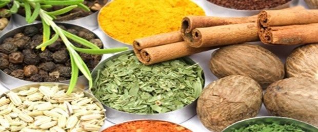 Böbrek sağlığı hakkında doğru sanılan 8 yanlış (Ezber bozan bilimsel gerçekler!)