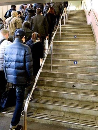 Bu insanları başka yerde aramayın
