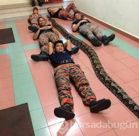 Bu insanları başka yerde aramayın
