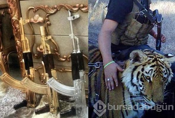 Lüks içinde yaşıyordu... 'El Chapo' davasında sürpriz gelişme!
