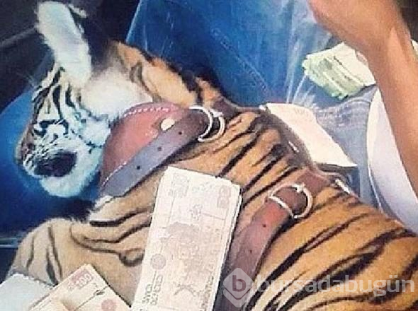 Lüks içinde yaşıyordu... 'El Chapo' davasında sürpriz gelişme!
