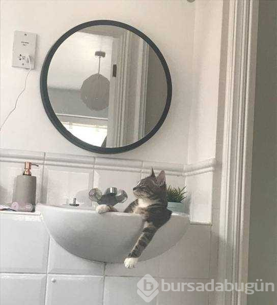 Günün en çok paylaşılan fotoğrafları (29.11.2018)