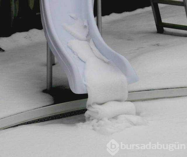 Günün en çok paylaşılan fotoğrafları (29.11.2018)