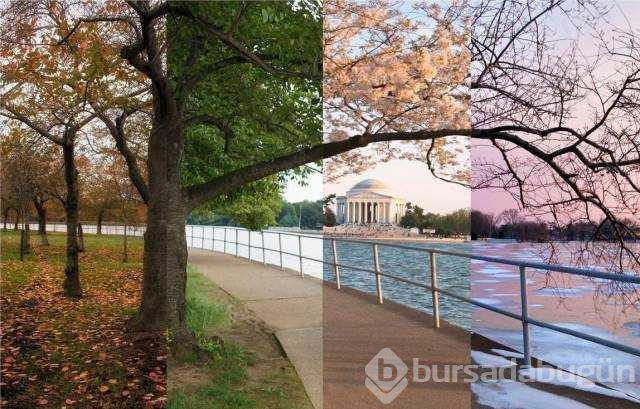 Günün en çok paylaşılan fotoğrafları (29.11.2018)
