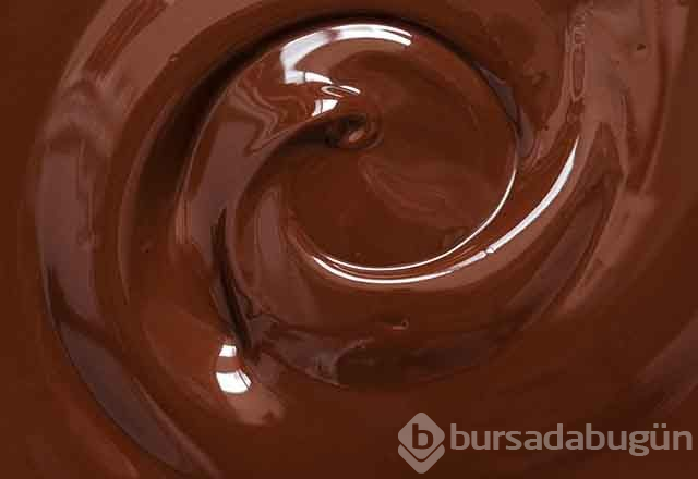Kuşlar için zararlı olan besinler ve maddeler
