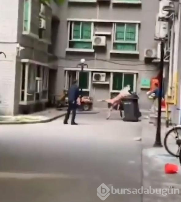 Aldatırken yakalandı, çırılçıplak 4. kattan düştü!