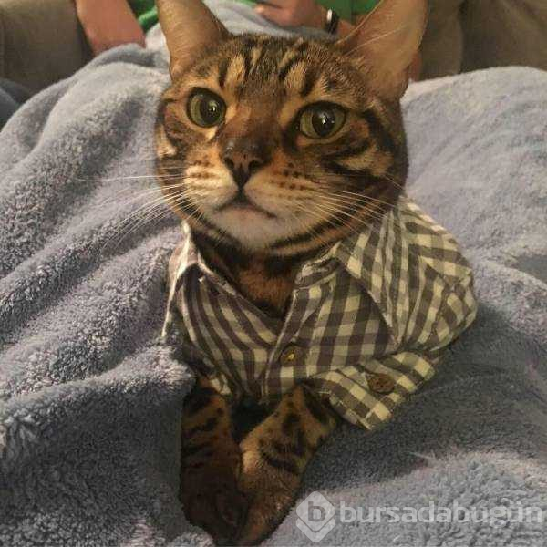 Günün en çok paylaşılan fotoğrafları (30.11.2018)