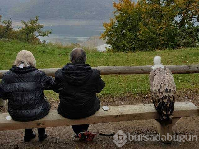 Günün en çok paylaşılan fotoğrafları (30.11.2018)