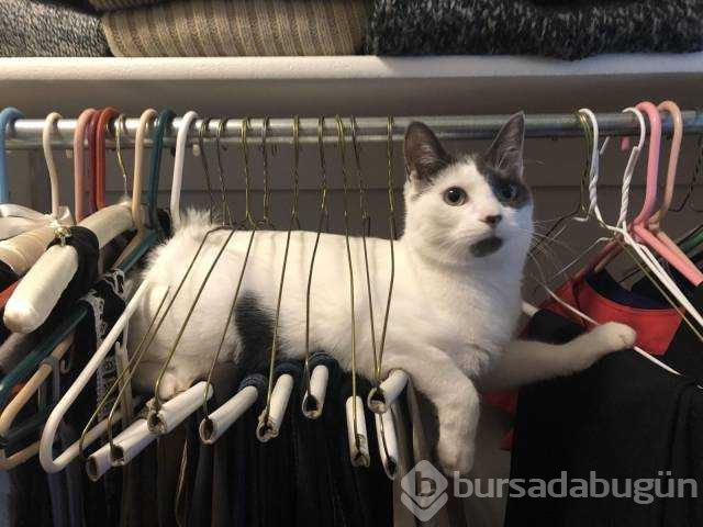 Günün en çok paylaşılan fotoğrafları (30.11.2018)