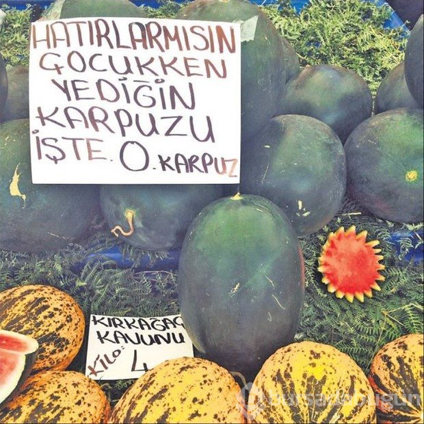 Güldüren ilanlar
