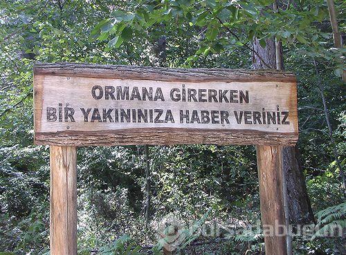Güldüren ilanlar
