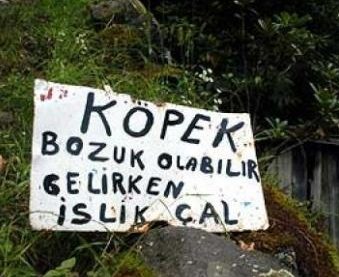 Güldüren ilanlar
