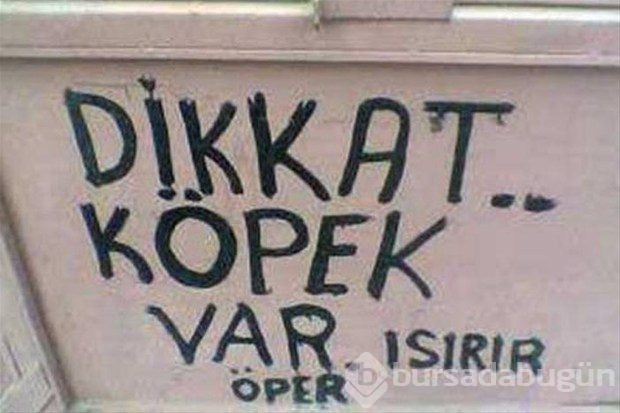 Güldüren ilanlar
