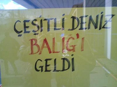 Güldüren ilanlar
