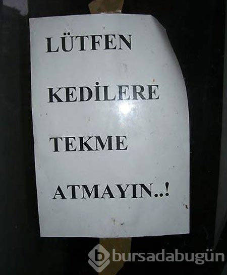 Güldüren ilanlar
