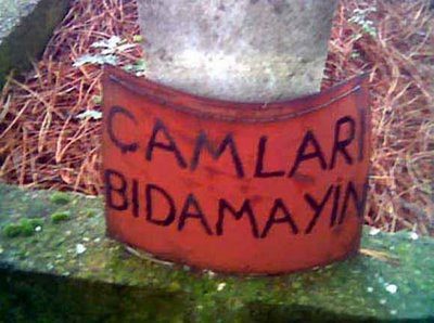 Güldüren ilanlar

