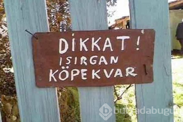 Güldüren ilanlar

