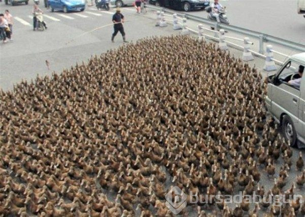 Bu insanlar sadece Çin'de
