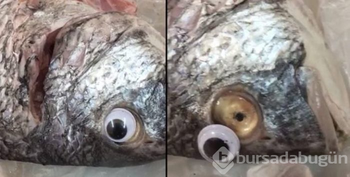 Balığın da sahtesi yapıldı! Sahte besinler gerçeklerinden nasıl ayırt edilir?
