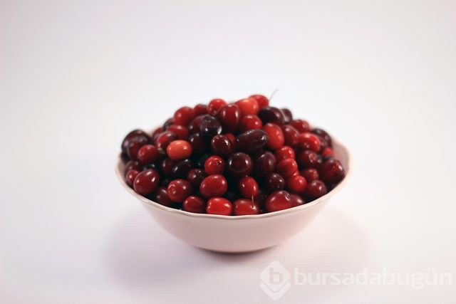 Balığın da sahtesi yapıldı! Sahte besinler gerçeklerinden nasıl ayırt edilir?
