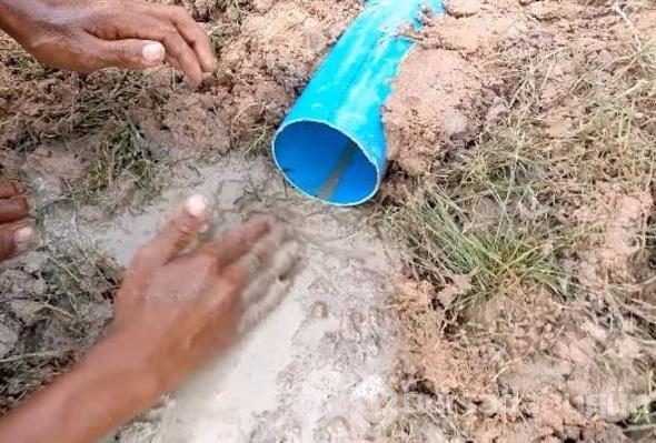 Balıklara aman vermiyor, böyle yakalıyor!