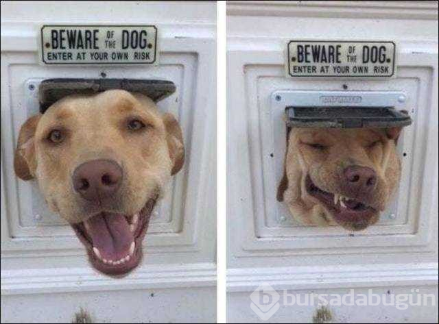 Günün en çok paylaşılan fotoğrafları(01.12.2018)