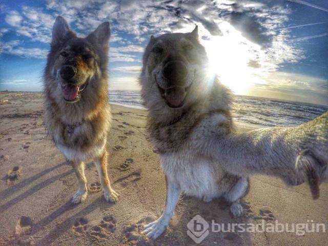 Günün en çok paylaşılan fotoğrafları(01.12.2018)