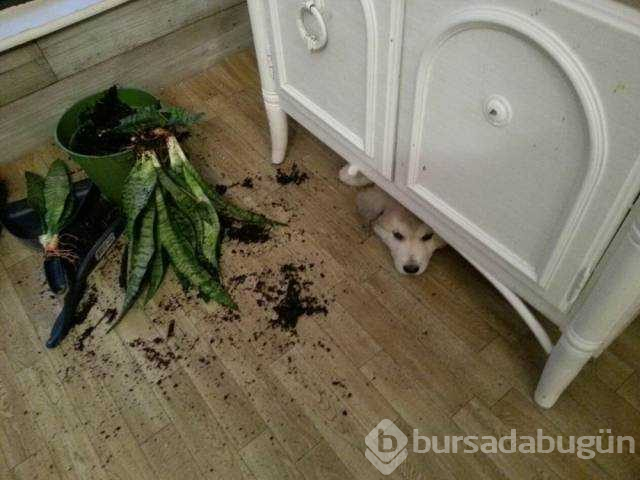 Günün en çok paylaşılan fotoğrafları(01.12.2018)