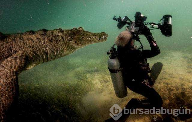 Günün en çok paylaşılan fotoğrafları(01.12.2018)