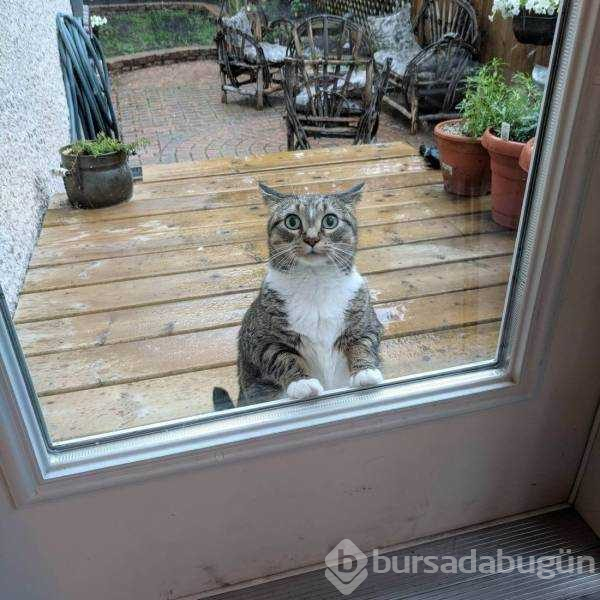 Günün en çok paylaşılan fotoğrafları(01.12.2018)