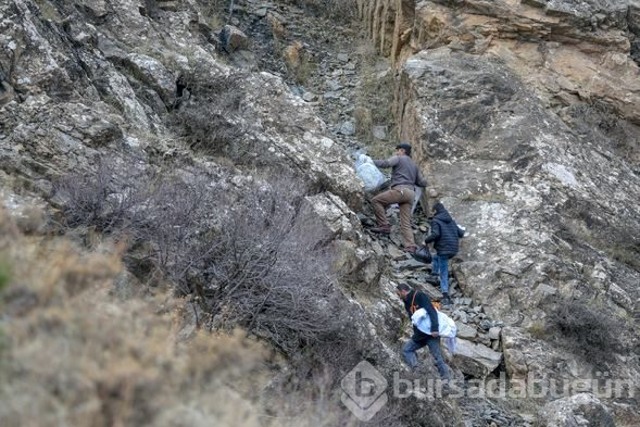 Kaya balı için ölümü göze alıyorlar
