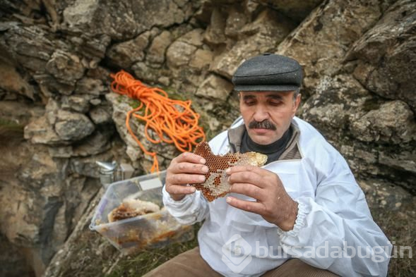 Kaya balı için ölümü göze alıyorlar
