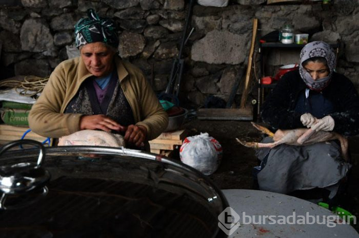Kars'ın benzersiz lezzeti kaz etinin kümesten sofraya yolculuğu
