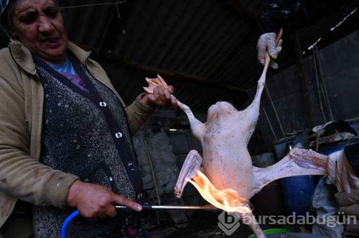 Kars'ın benzersiz lezzeti kaz etinin kümesten sofraya yolculuğu
