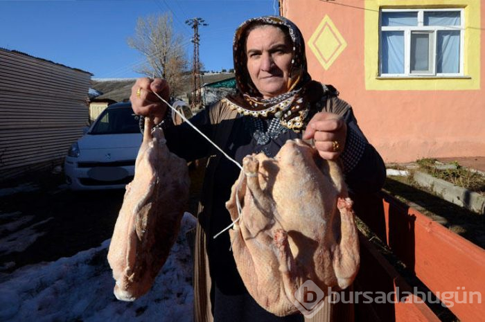 Kars'ın benzersiz lezzeti kaz etinin kümesten sofraya yolculuğu
