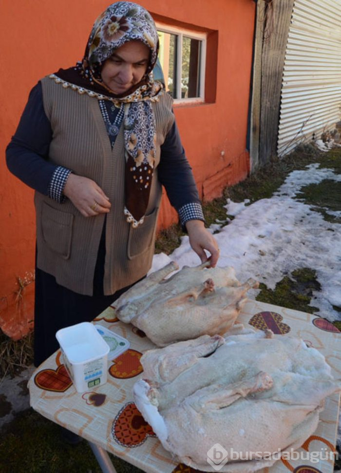 Kars'ın benzersiz lezzeti kaz etinin kümesten sofraya yolculuğu
