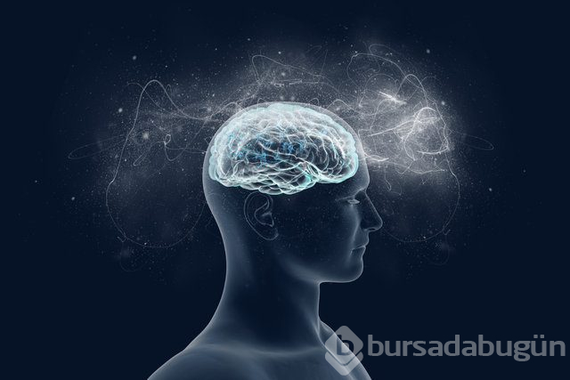 IQ'yu artıran tüyolar!
