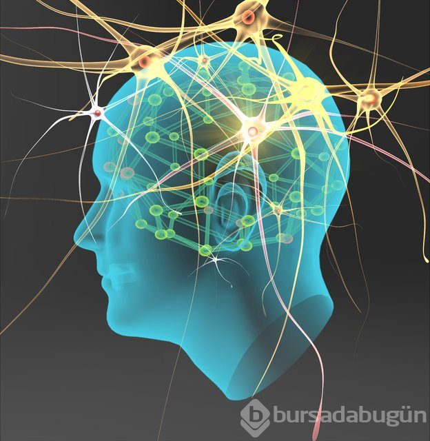 IQ'yu artıran tüyolar!
