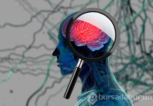 IQ'yu artıran tüyolar!
