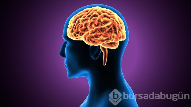 IQ'yu artıran tüyolar!

