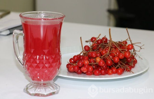 Gilaburu meyvesi kanserden koruyor
