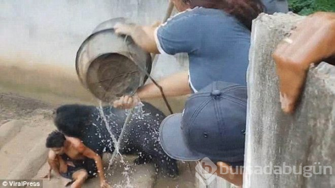 Ayıyla dalga geçmenin bedelini ağır ödedi kafese düşen adamı paramparça etti