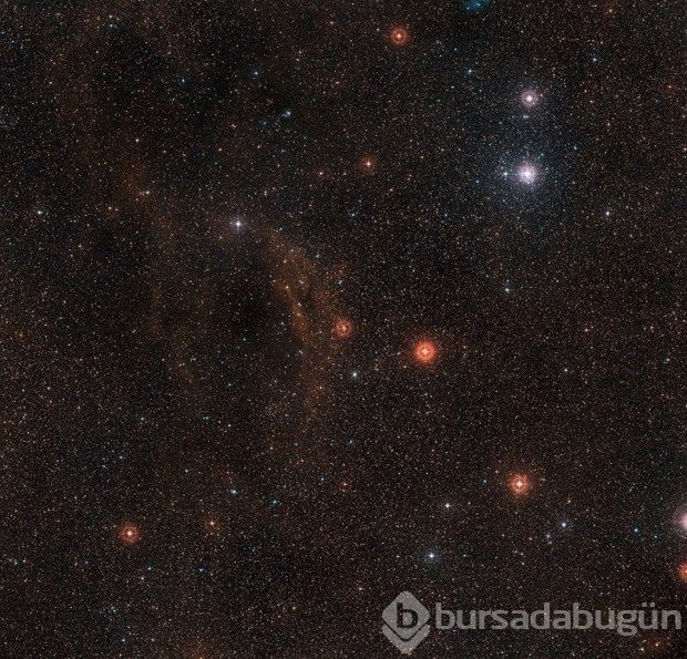 NASA'da görevli bilim insanından 'uzaylı' açıklaması