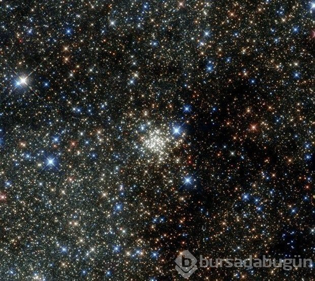 NASA'da görevli bilim insanından 'uzaylı' açıklaması