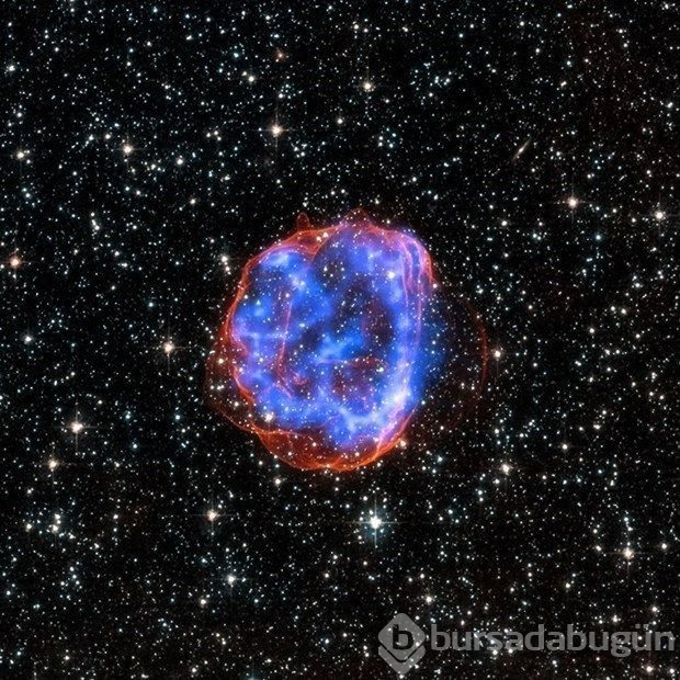 NASA'da görevli bilim insanından 'uzaylı' açıklaması