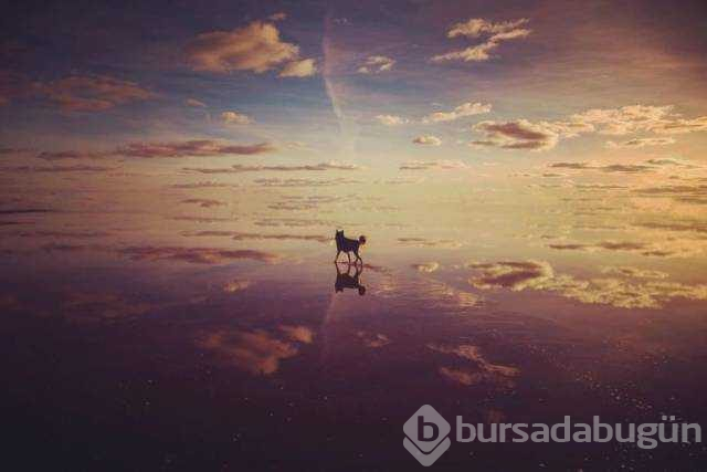 Günün en çok paylaşılan fotoğrafları(05.12.2018)
