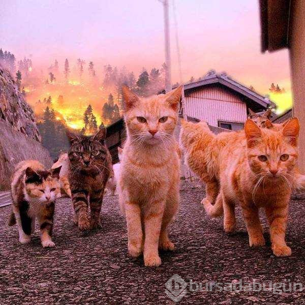 Günün en çok paylaşılan fotoğrafları(05.12.2018)
